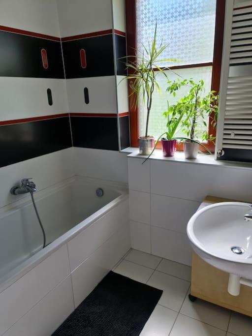 Comfortable Apartment! プラハ エクステリア 写真